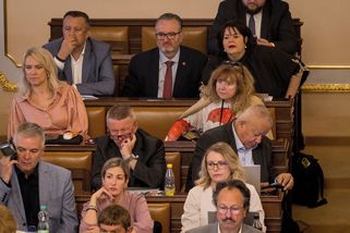 Nejen Turek. Mlčících poslanců je víc, pětina skoro nepromluvila u pultíku - Seznam Zprávy